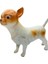 Soft Köpekler - Chihuahua / Şivava Cinsi Köpek - E013 (Lisinya) 1