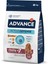 Zengezur Advance Dog Medıum Senıor 3 kg 1