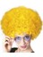 Sarı Renk Kıvırcık Afro Bonus Peruk - Lisinya 2
