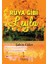 Rüya Gibi Leyla 1