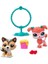 00584 - Littlest Pet Shop 2 Li Figür Set (Lisinya) 2