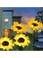 Açık Hava Ayçiçeği Solar Güneş Enerjili Bahçe Lambası & Villa Köşk Yazlık Özel Dekoratif Aydınlatma 4