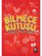 Bilmece Kutusu 1