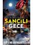 Sancılı Gece 1