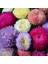 Katmerli Pompon Aster Tohumu Karışık Renkli Callistephus Chinensis Powder Puff China Aster 5