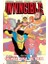 Invincible 2 1