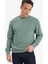 %100 Pamuk Regular Fit Bisiklet Yaka Sweatshirt E8339AX25AU 6