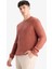 Standart Fit Normal Kesim Bisiklet Yaka Dokulu Triko Kazak C8814AX25WN 10