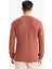 Standart Fit Normal Kesim Bisiklet Yaka Dokulu Triko Kazak C8814AX25WN 12