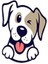 Easy Pet Wipes 300 Adet Koku İçermeyen Evcil Hayvan Temizleme Mendili Hassas Kullanım için 2