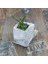 Ev Beton Saksı 05 Gri 2