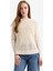 Bisiklet Yaka Nakışlı Triko Süveter F3296AX25AU 10