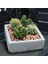 Kare Beton Saksı 10CM Gri 4