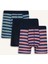 Regular Fit Çizgili 3'lü Boxer E0123AX25AU 7