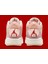 Air Jordan Retro 3 Valentine-Sprtx 5