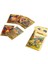 Bfs Pokemon Gold Trading Card 10’lu Paket 1