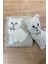 Oyuncak Hediyeli Bebek Triko Battaniye 90X90 cm Bej 1