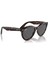 Rb 2241 902/B1 51 Ray-Ban Wayfarer Way Güneş Gözlüğü 9