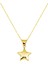 14 Ayar Altın Yıldız Kolye 1