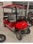 Polo Plus Elektrikli Golf Arabası 1