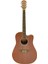 LFG668C Akustik Gitar Kılıf Hediyeli 1