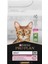 Delicate Kuzu Etli Yetişkin Kedi Maması 1,5kg 1