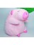 Yeni Sekiz Inç Peluş Oyuncaklar 25CM Kapmak Bebek Sevimli Bebek Doğum Günü Hediyesi Düğün Atmak Bebekler (Yurt Dışından) 1