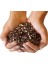 ORGANİK BİTKİ TOPRAĞI TORF KARIŞIMI 20 LİTRE 3