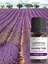 Lavanta Yağı %100 Saf - Bitkisel Aromaterapi Lavanta Uyku ve Stres Yağı 10ML - Uçucu Yağ 2