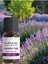 Lavanta Yağı %100 Saf - Bitkisel Aromaterapi Lavanta Uyku ve Stres Yağı 10ML - Uçucu Yağ 4