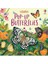 Pop-Up: Butterflies / Laura Cowan / Usborne / 9781474992336 1