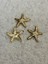 Yıldız Desen Altın Kaplama Metal Düğme 1
