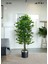 Yapay Benjamın Agacı (130 cm ) 66554323, One Size 3