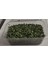 Organik Kurutulmuş Doğranmış Maydonoz 75 gr 3