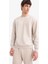 Boxy Fit Bisiklet Yaka Basic Düz Pike Taş Erkek Sweatshirt E1519AX/BG766 3