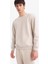 Boxy Fit Bisiklet Yaka Basic Düz Pike Taş Erkek Sweatshirt E1519AX/BG766 4