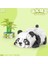 Dinlenen Panda Yapım Seti 1