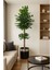 Yapay Gövdeli Benjamın Agacı (150CM ) 55677555, One Size 2