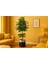 Yapay Gövdeli Benjamın Agacı (150CM ) 55677555, One Size 3