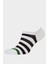 Erkek 5'li Pamuklu Sneaker Çorap F5327AXNS 3
