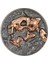 Nimravidae Evrimi 2023 1 Ons Gümüş Sikke Coin 6