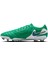 Tiempo Legend 10 Elite Fg Lv8 Unisex Çim Zemin Futbol Kramponu HJ7272-300 3