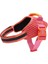 Gazelle Flyharness Göğüs Tasması - Zee.dog 2