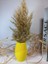 Iskandinav Pampas Vazo Random 10