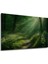 Orman Ihtişamlı Yeşil Yollar Yağlı Boya Görünümlü Dekoratif Ahşap Ev/işyeri/ofis Kare Tablo 3