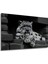 Kar Leoparı Siyah Beyaz Yağlı Boya Görünümlü Dekoratif Ahşap Ev/işyeri/ofis Kare Tablo 3