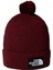 Tnf Logo Box Pom Beanie Bere NF0A8CHF0VO1 Kırmızı 1