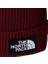 Tnf Logo Box Pom Beanie Bere NF0A8CHF0VO1 Kırmızı 2