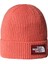 Tnf Logo Box Cuffed Beanie Bere NF0A8CHEEED1 Kırmızı 1