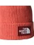 Tnf Logo Box Cuffed Beanie Bere NF0A8CHEEED1 Kırmızı 2